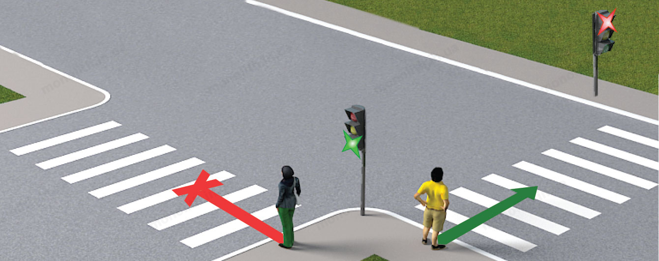 ПДР: рух пішоходів на світлофорі