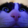 user-photo